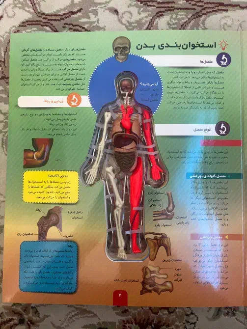 کتاب بدن انسان را بشناسید|کتاب و مجله آموزشی|تهران, باشگاه نفت|دیوار