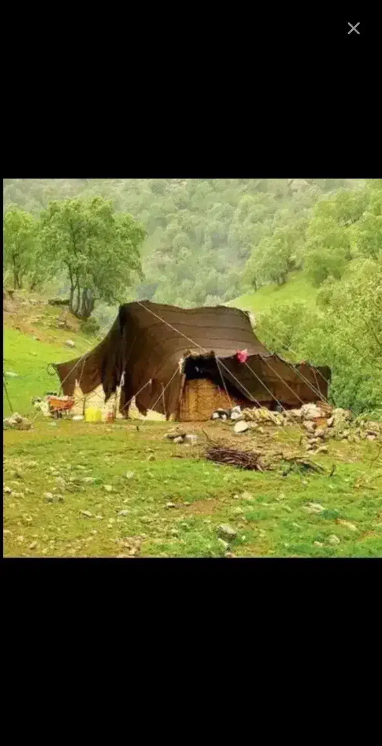 سیاه چادر|کوهنوردی و کمپینگ|کوهدشت, |دیوار