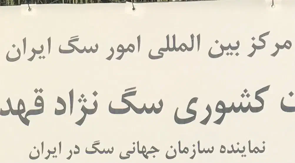 کارگر خدماتی سگ|استخدام سرایداری و نظافت|محمدشهر, محمدشهر|دیوار