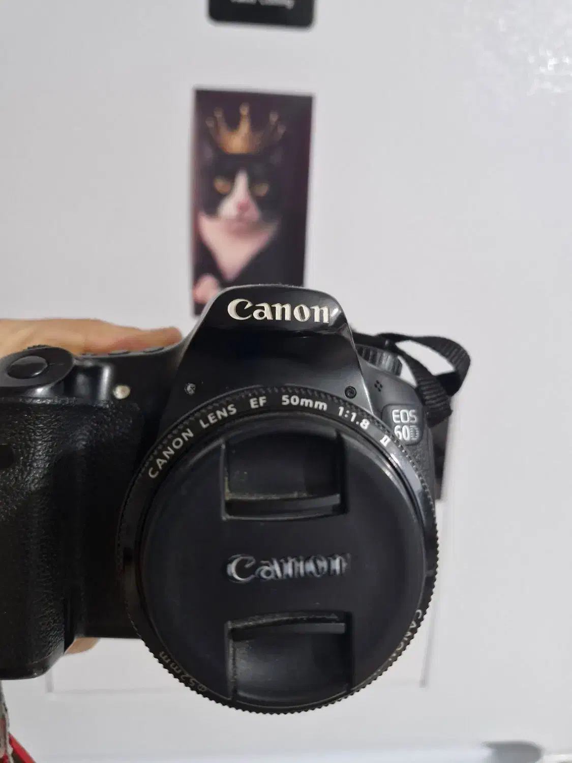 لنز ۵۰ ۱.۸ کانن مارک ۲|دوربین عکاسی و فیلم‌برداری|تالش, هشتپر|دیوار