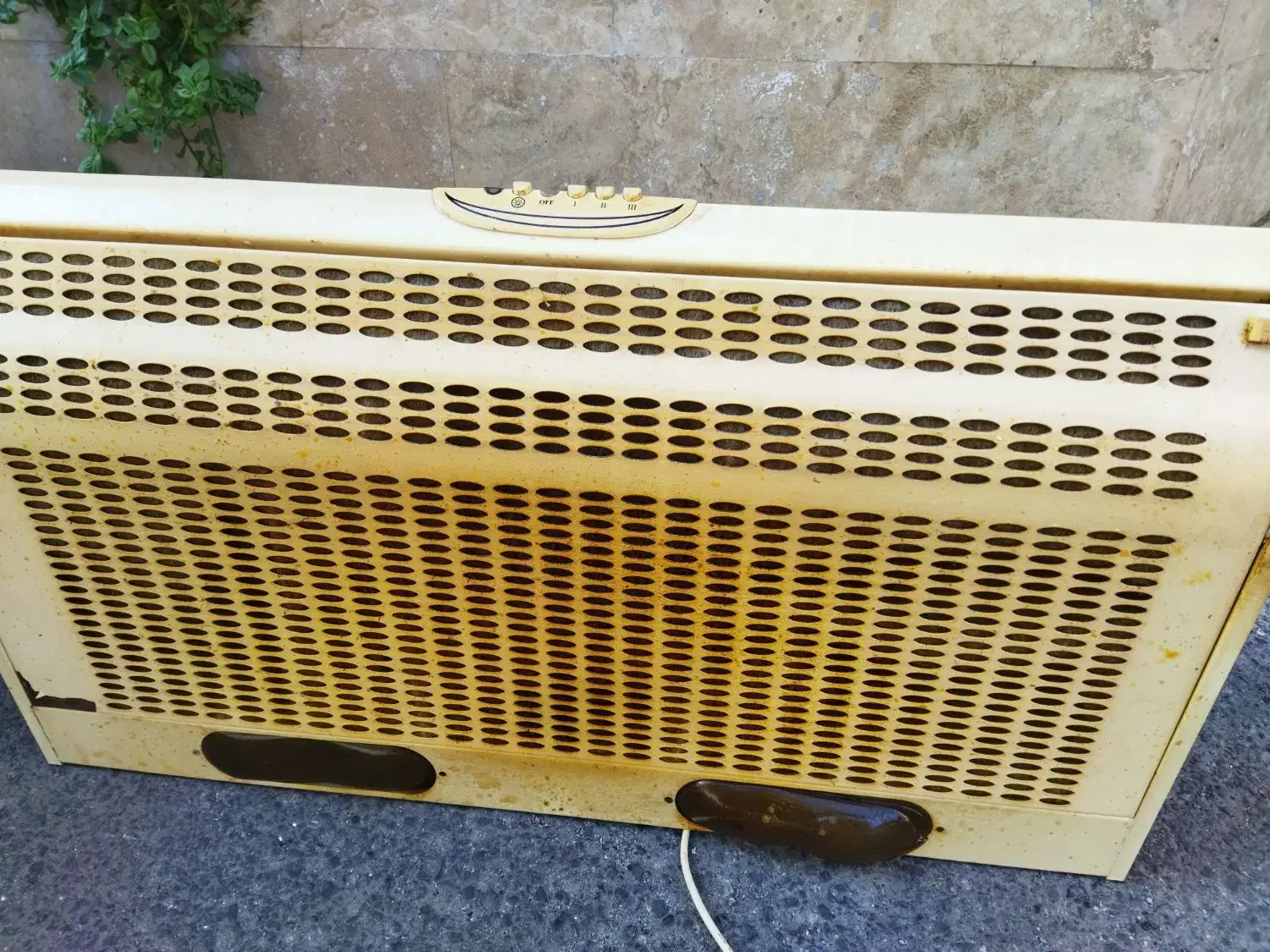 هود کتابی سالم تمیر|هود|بابل, |دیوار