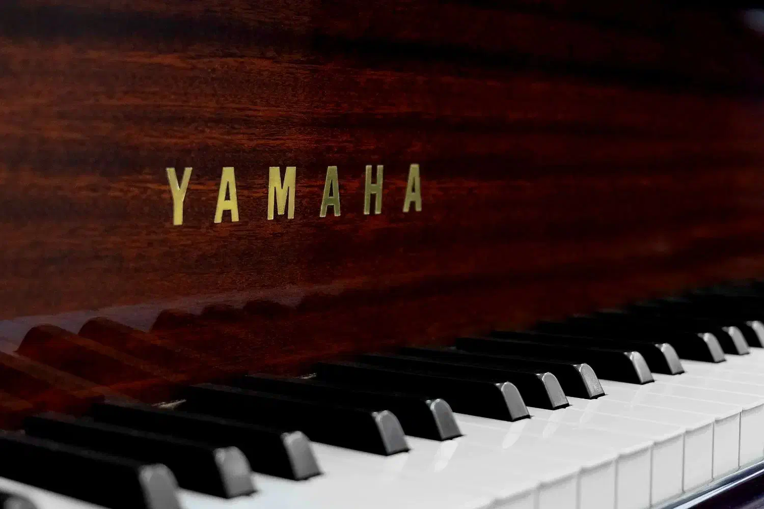 پیانو|پیانو، کیبورد، آکاردئون|کرج, اصفهانی‌ها|دیوار