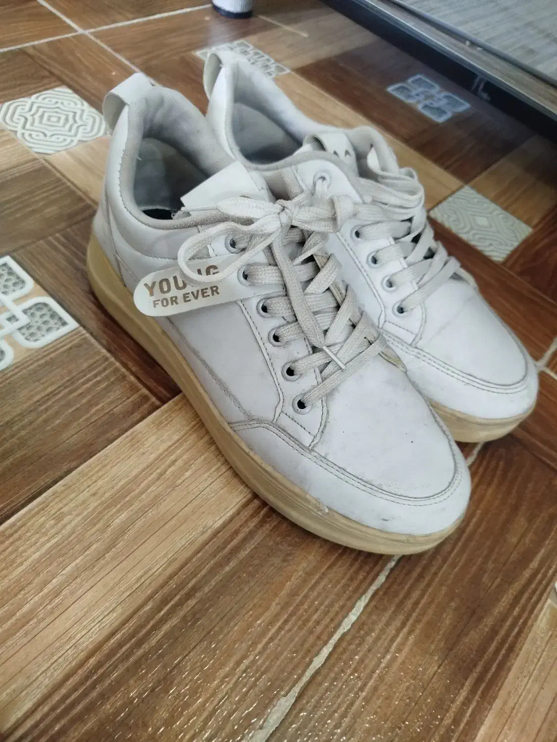 کفش|کیف، کفش، کمربند|شوشتر, |دیوار