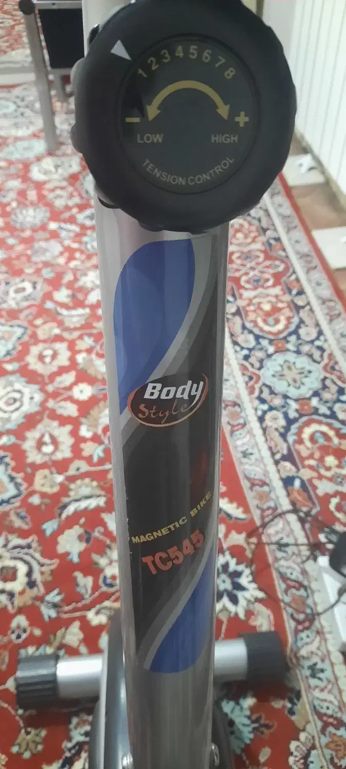 دوچرخه ثابت بادی اسکالپچر|تجهیزات ورزشی|پردیس, فاز ۲|دیوار