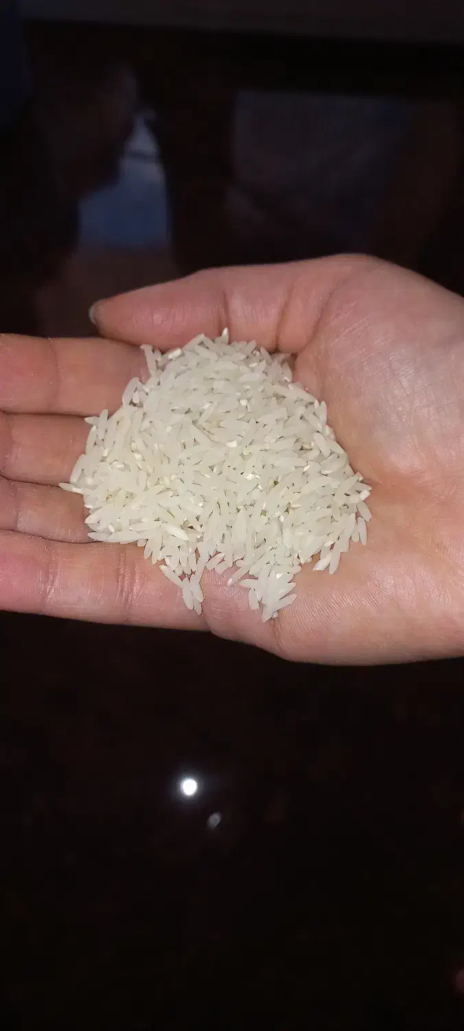 برنج شاهرودی اعلا|خوردنی و آشامیدنی|ساری, |دیوار