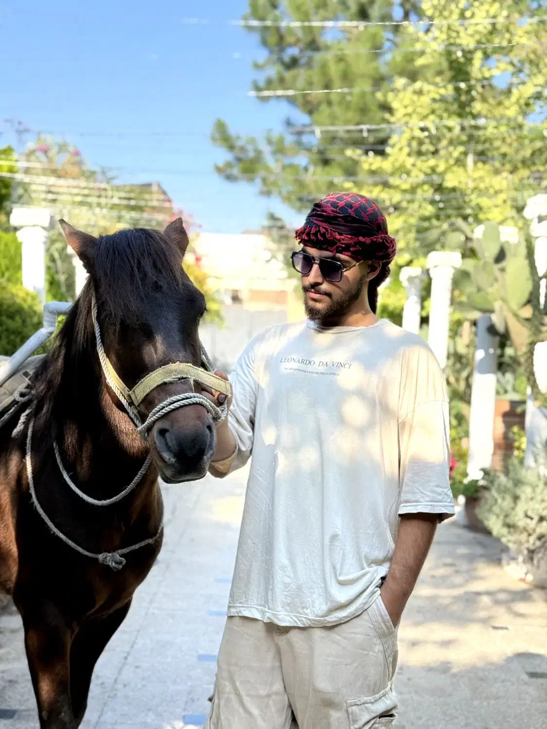 اسب کرد با اصالت|اسب و تجهیزات اسب‌سواری|ساری, |دیوار