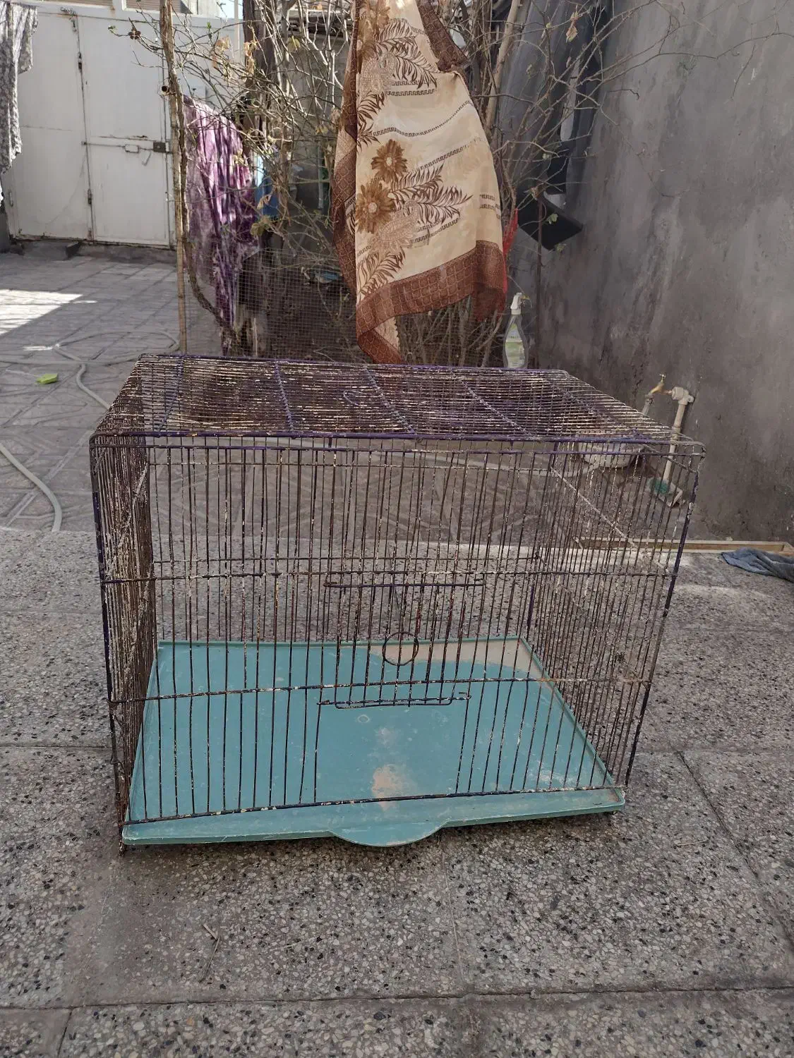 مفت مفت|لوازم جانبی حیوانات|بیرجند, |دیوار