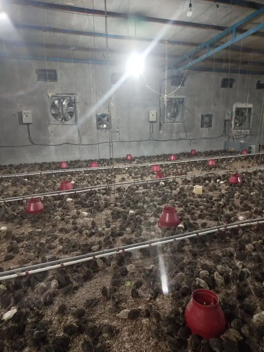 وام شخصی با سود ماهیانه مطمئن (قرارداد رسمی)|استخدام مالی، حسابداری، حقوقی|دهدشت, |دیوار