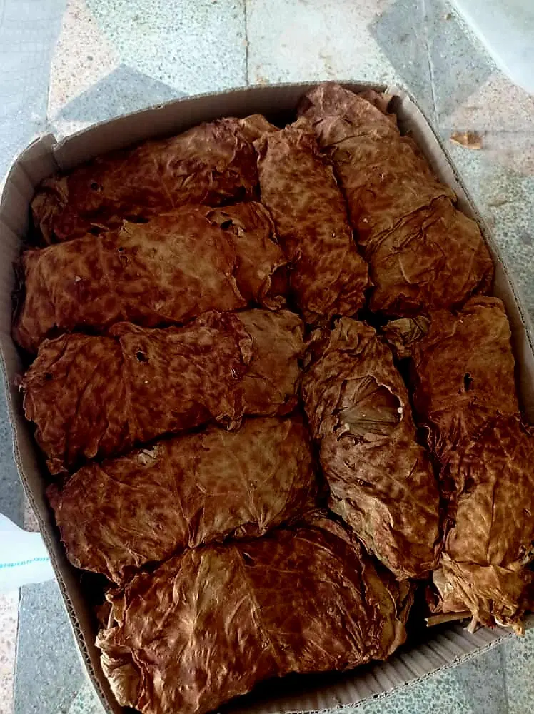 گل قرمز|گل و گیاه طبیعی|کاکی, |دیوار