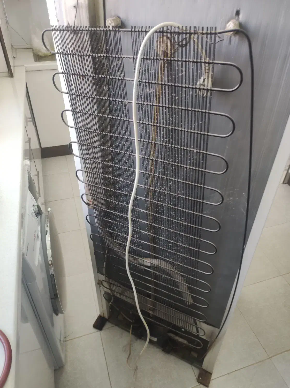 یخچال فریزر اسنوا|یخچال و فریزر|سریش آباد, |دیوار