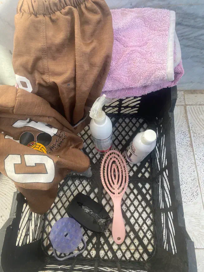 واگذاری سگ|سگ|مشهد, امیریه|دیوار