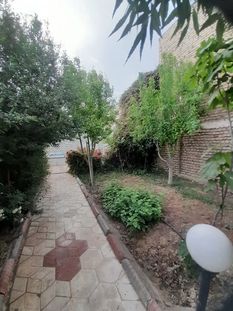 تصویر 12