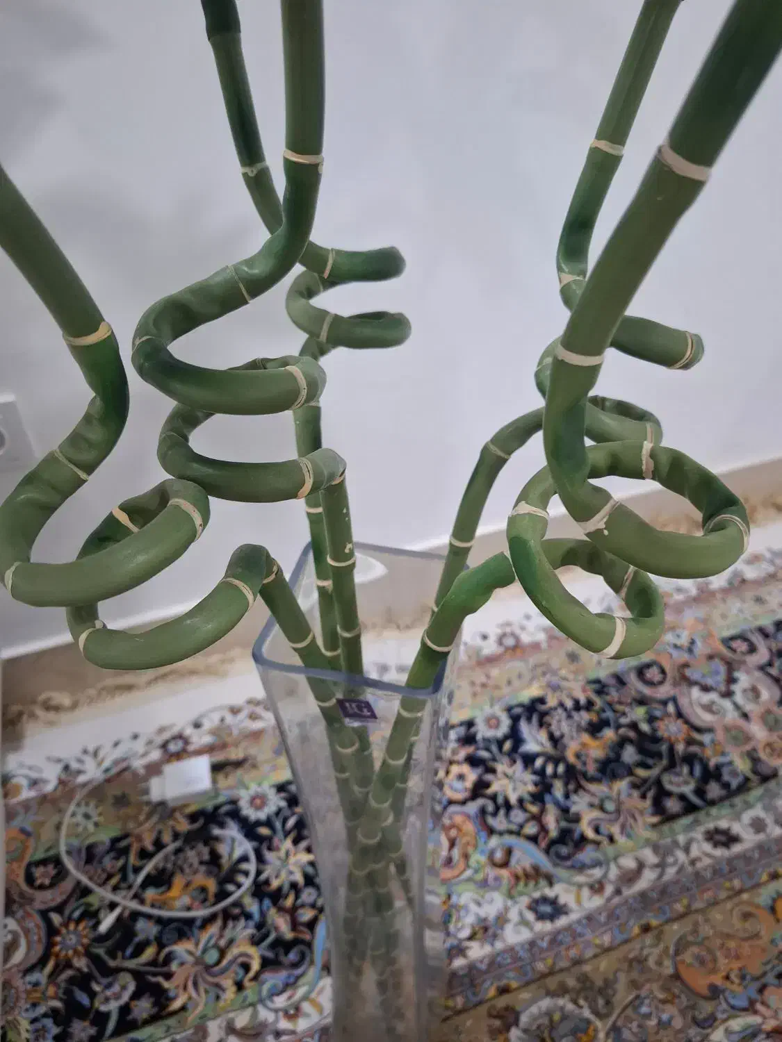 گل بامبو 5شاخه جنس خارجی|گل و گیاه طبیعی|قائن, |دیوار