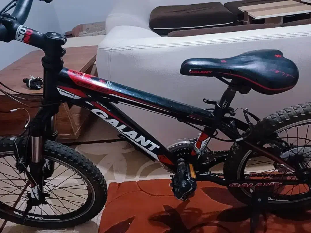 دوچرخه گالانت سایز۲۰|دوچرخه، اسکیت، اسکوتر|گنبد کاووس, |دیوار