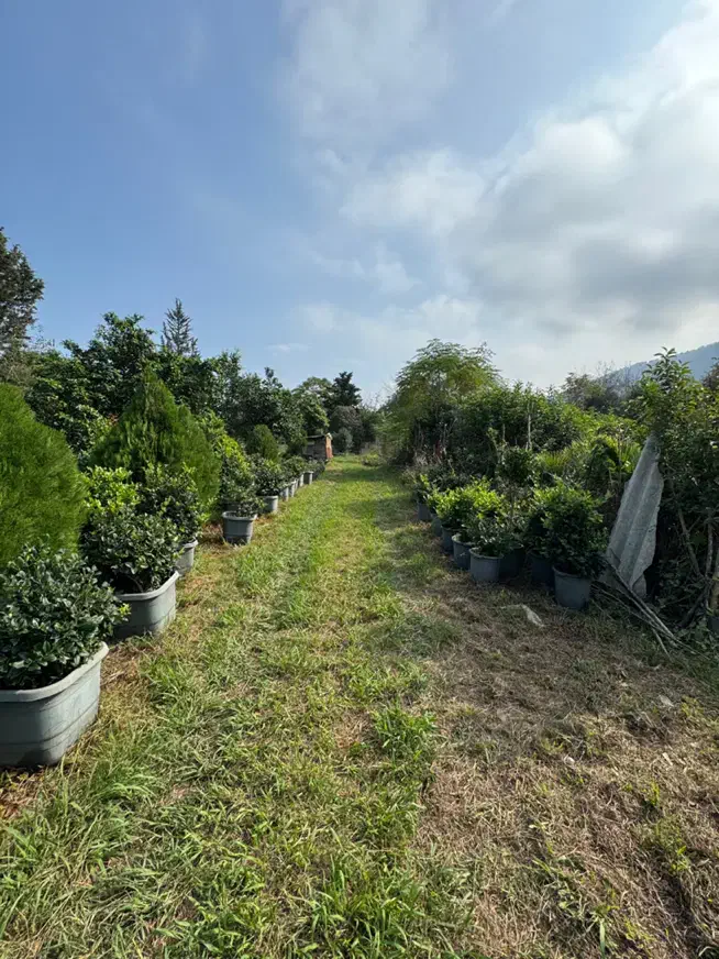 زمین مسکونی ۲۳۲ متری کبوترآبکش دوگلسر سنددار|فروش زمین و ملک کلنگی|چابکسر, |دیوار