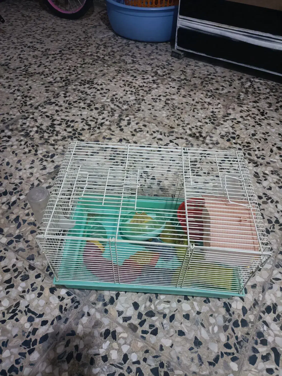 یک عدد قفس پرنده|لوازم جانبی حیوانات|کرمانشاه, |دیوار