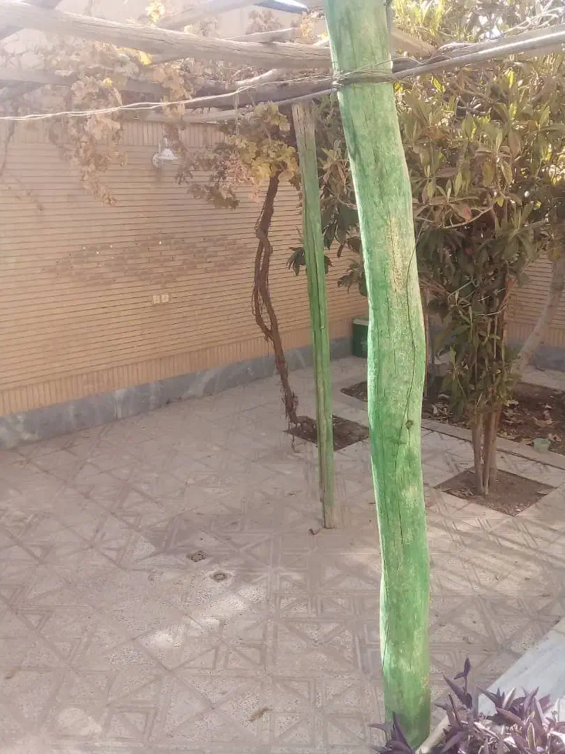 رهن و اجاره|اجارهٔ خانه و ویلا|شاهین‌شهر, شهرک ردانی پور|دیوار