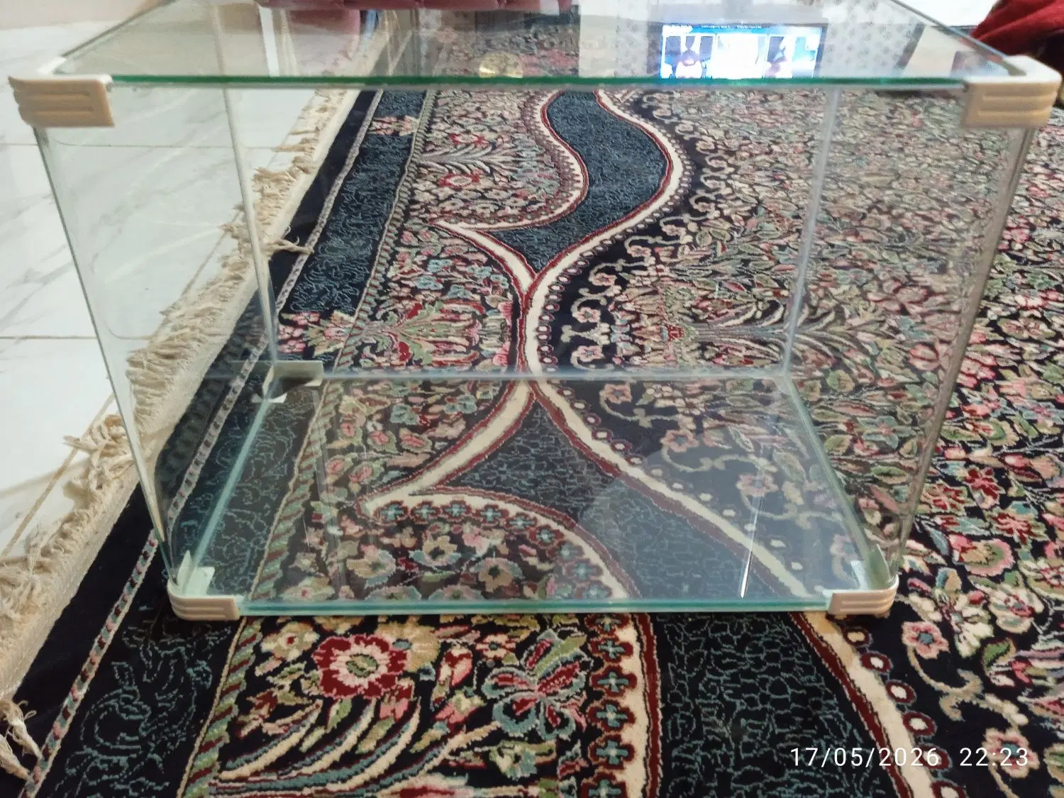شور|ماهی|کرمان, |دیوار