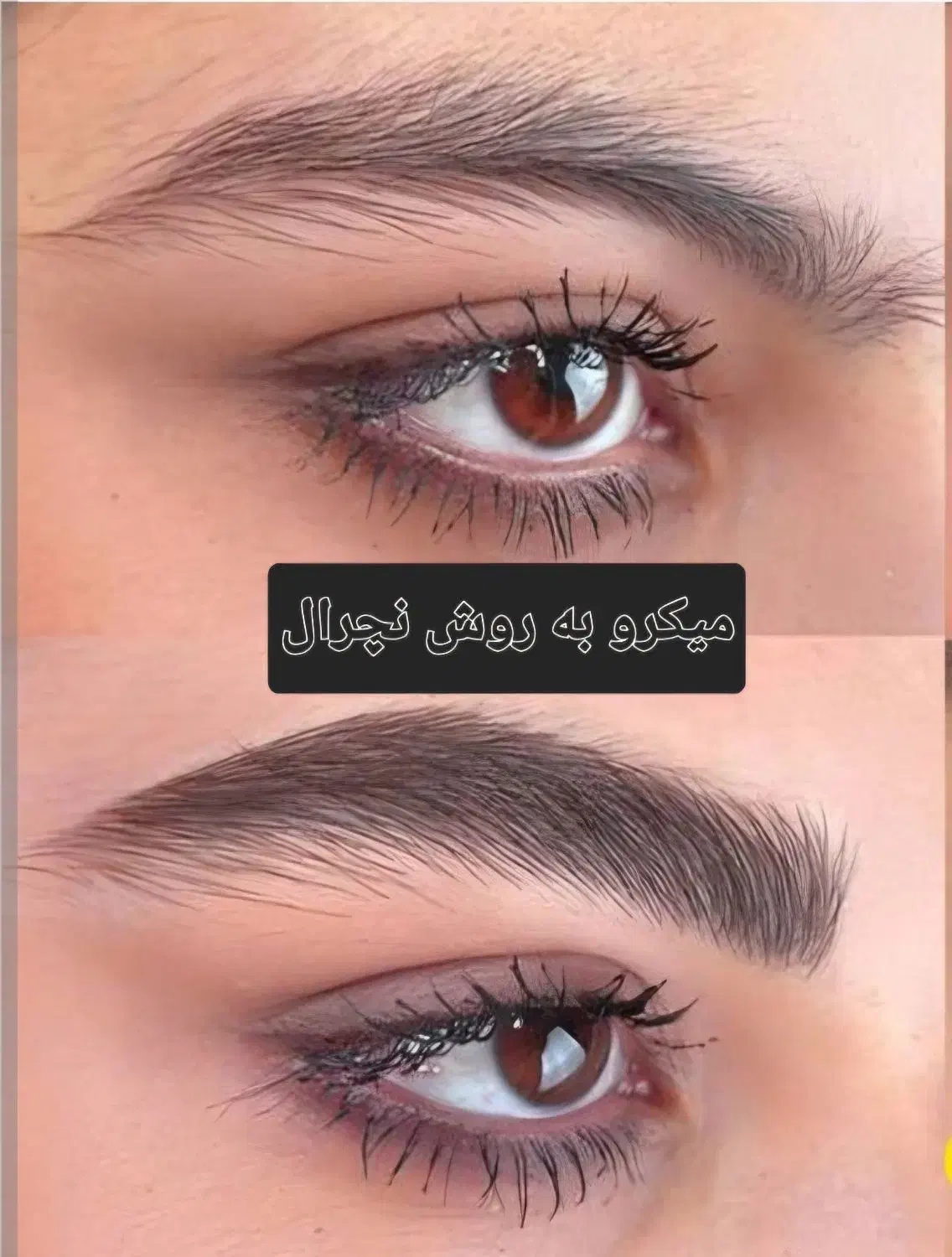 خدمات آرایش دائم بانوان|خدمات آرایشگری و زیبایی|شهرکرد, |دیوار