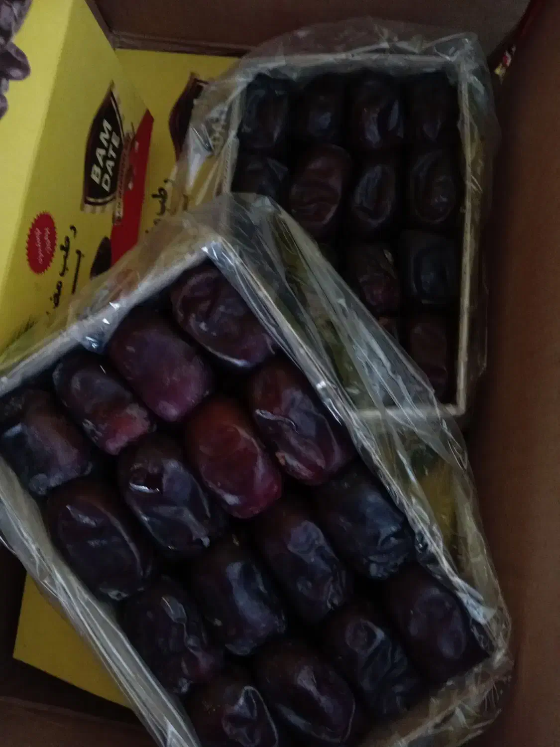 خرما کرمان (بم)|خوردنی و آشامیدنی|شیراز, باغشهر اهل بیت|دیوار