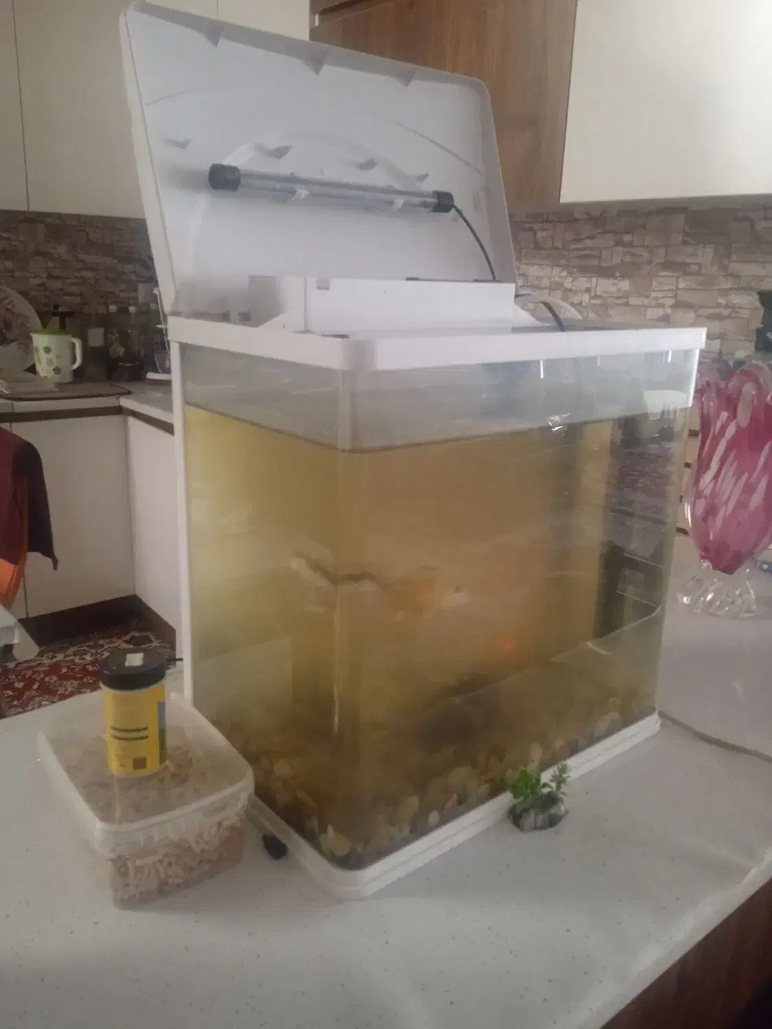 آکواریوم شرکتی برند ماهیران. سالم|ماهی|قم, باجک یک|دیوار