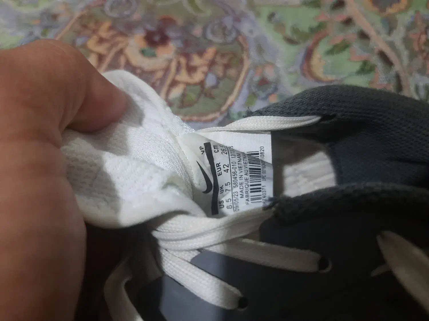 کفش سالنی لونار گتو|کیف، کفش، کمربند|تربت‌حیدریه, منظر|دیوار