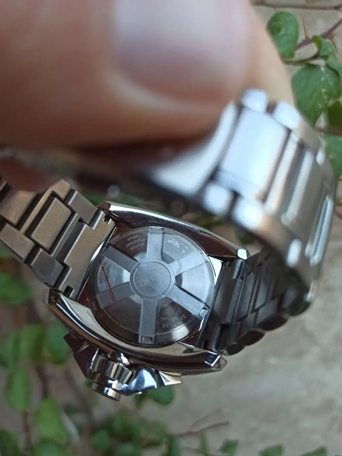 ساعت سیکو ولاتورا|ساعت|ساوه, |دیوار