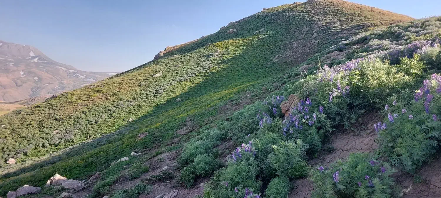 نیازمند یک مدرک مهندسی برق یا مکانیک جهت رتبه بندی|استخدام صنعتی، فنی، مهندسی|سنندج, |دیوار