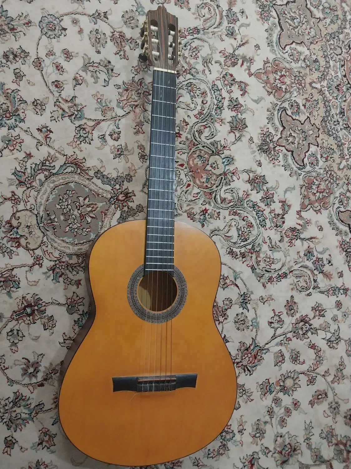 گیتار|گیتار، بیس، امپلیفایر|مشهد, شهید قربانی|دیوار