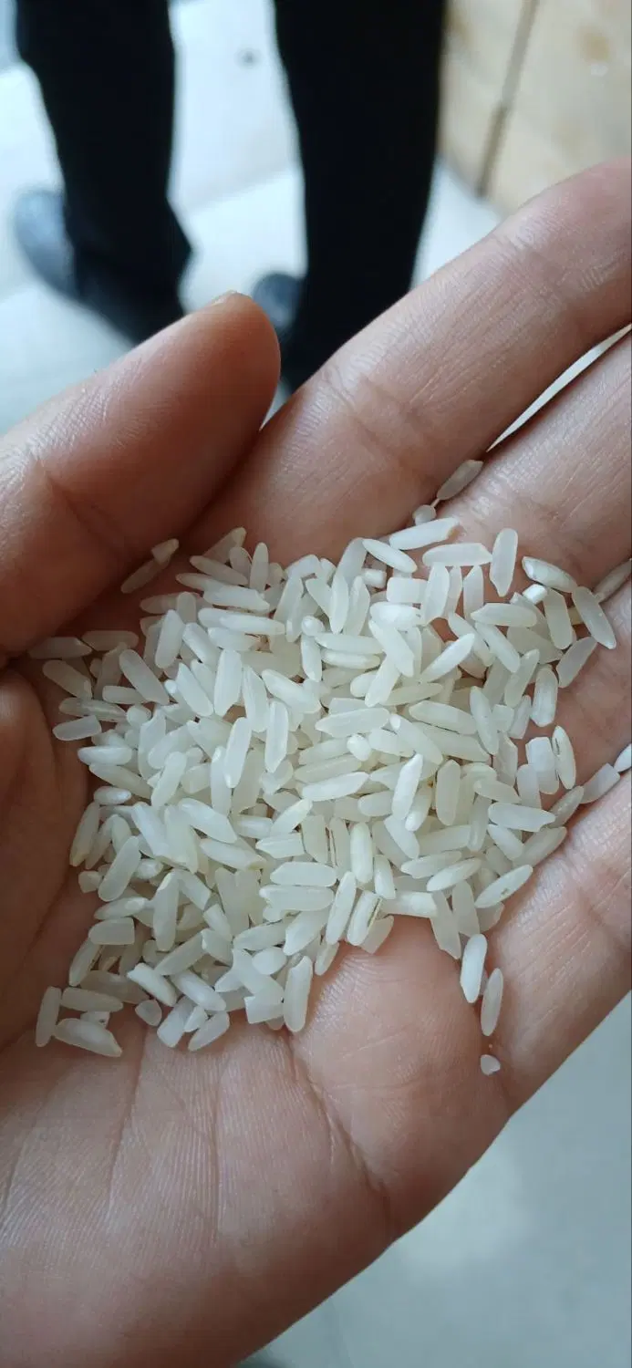 برنج aaa|خوردنی و آشامیدنی|تهران, انبار نفت|دیوار