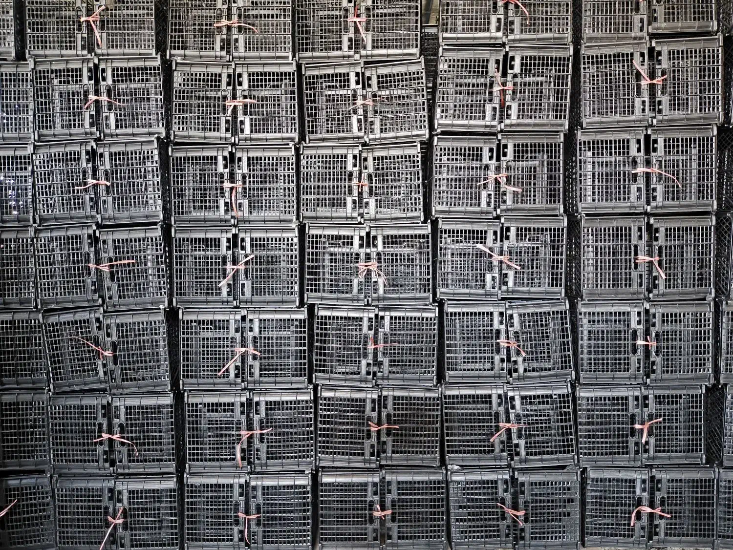 سبد ۱۴کیلویی مخصوص انار|ظروف نگهدارنده، پلاستیکی، یکبارمصرف|کوهدشت, |دیوار