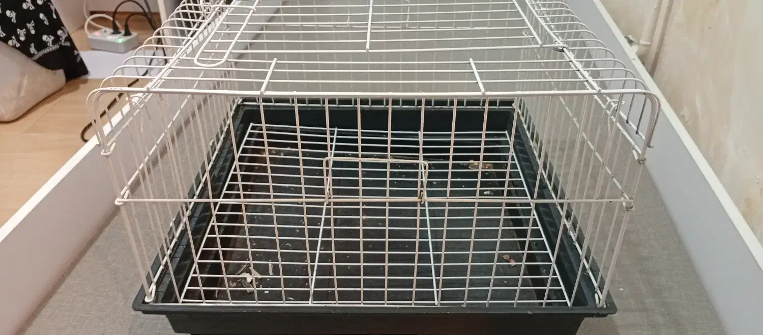 قفس بزرگ|لوازم جانبی حیوانات|رشت, استادسرا|دیوار