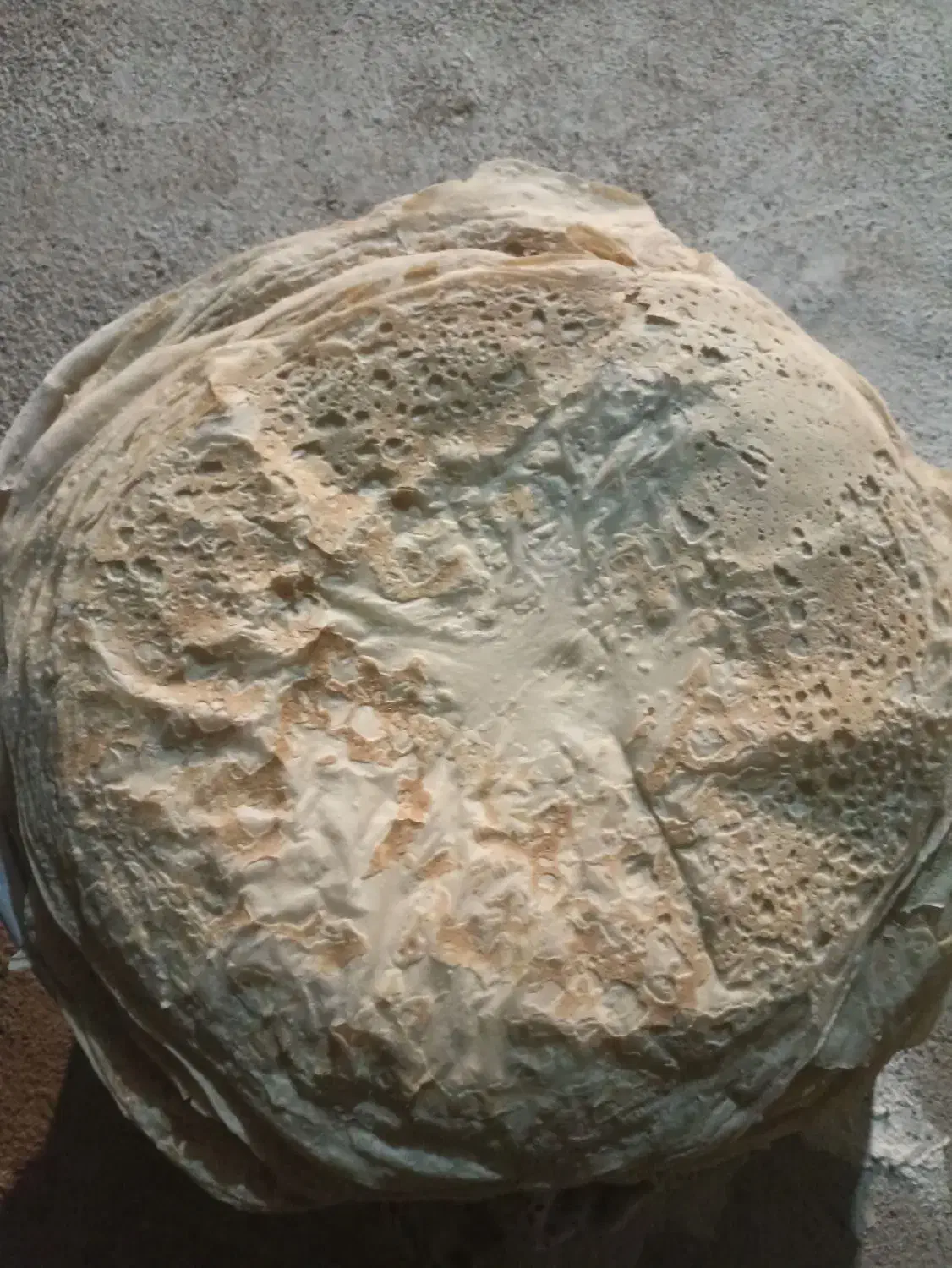 نون تیری|خوردنی و آشامیدنی|مسجد سلیمان, |دیوار