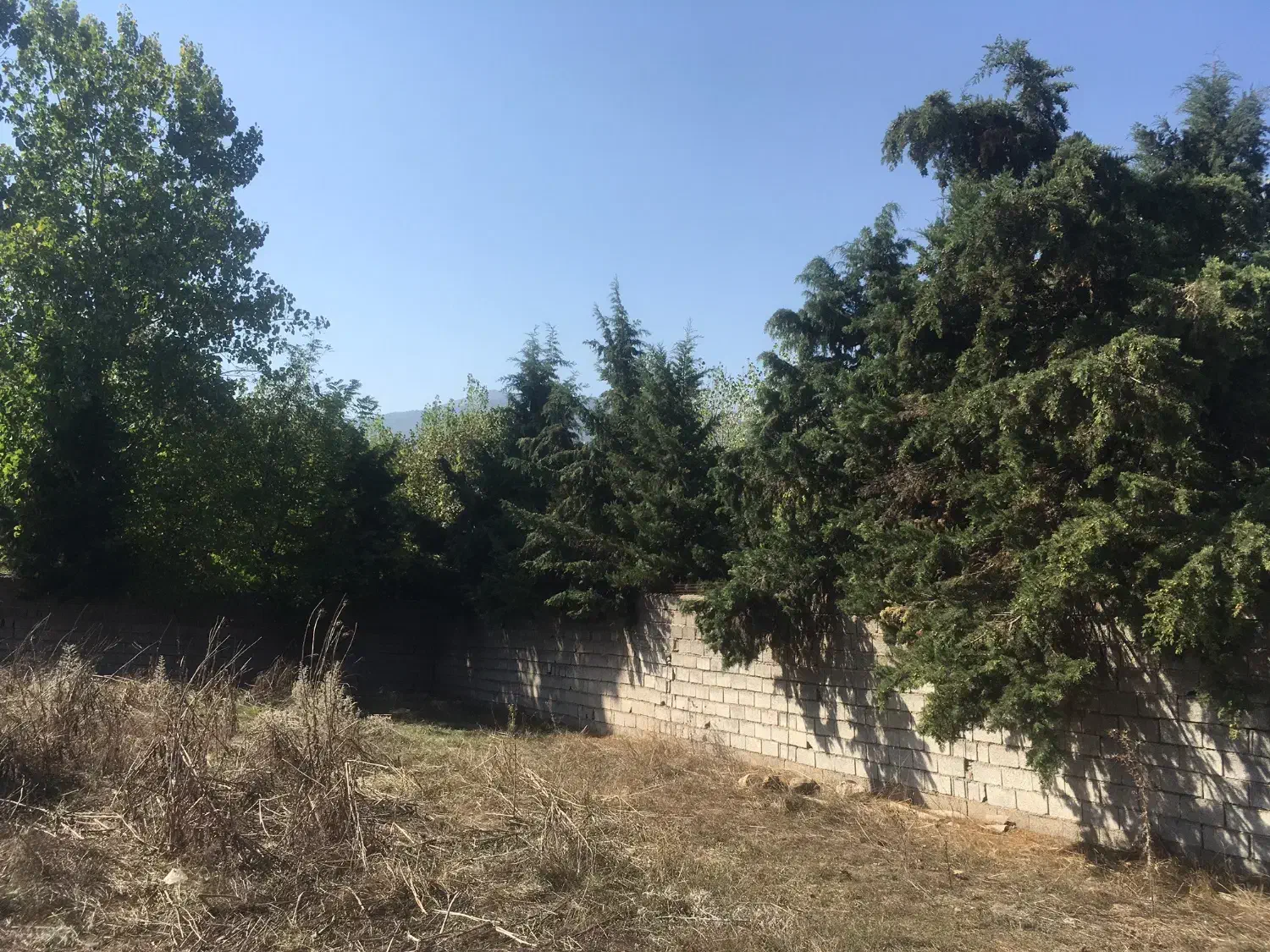 زمین مسکونی سنددار 500 متری کردیچال کلاردشت|فروش زمین و ملک کلنگی|کلاردشت, |دیوار