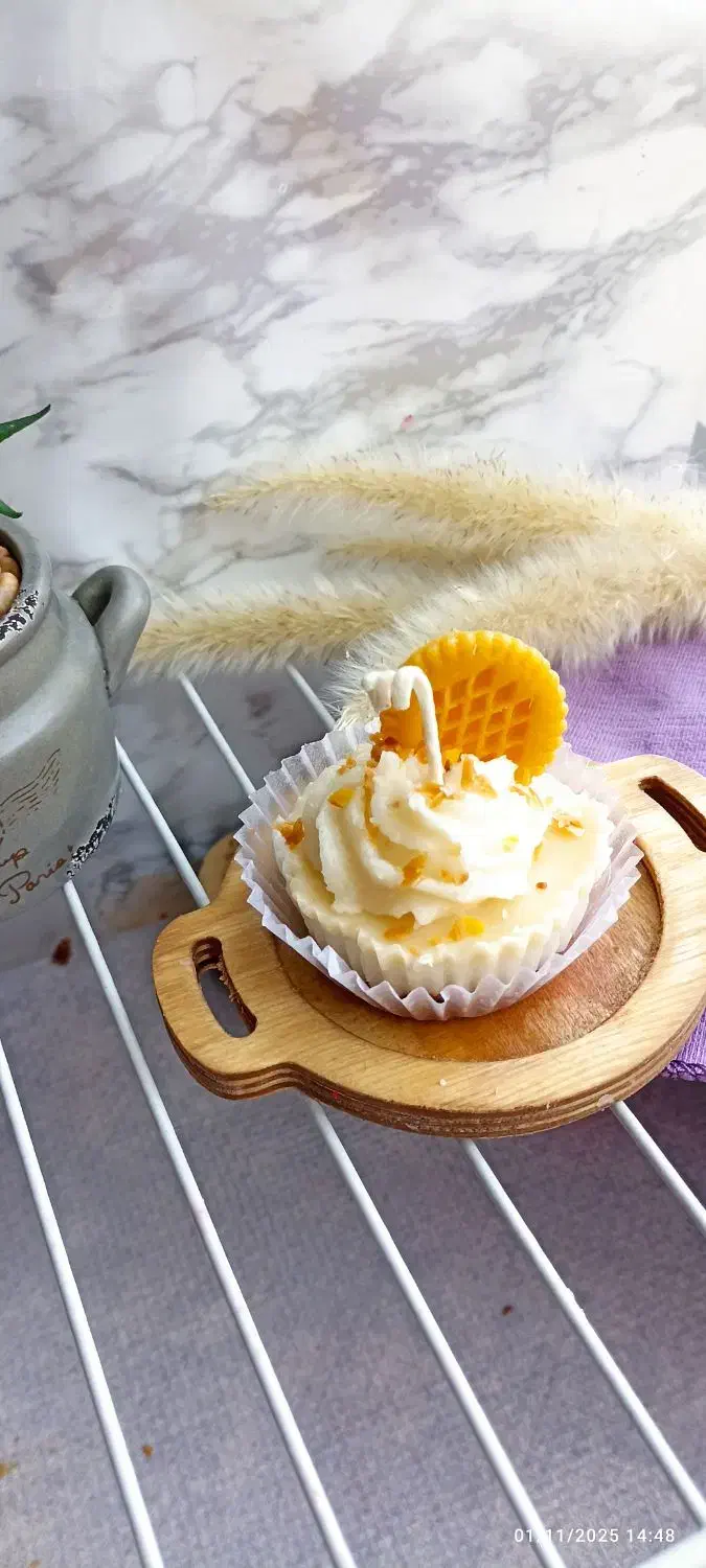 شمع های سبک خوراکی|صنایع دستی و سایر لوازم تزئینی|ماهان, |دیوار