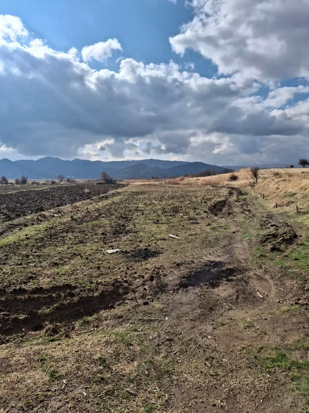روستای چشن آباد|فروش زمین و ملک کلنگی|خاو و میرآباد, |دیوار