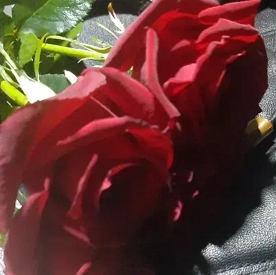 شغلی|استخدام رایانه و فناوری اطلاعات|برازجان, |دیوار