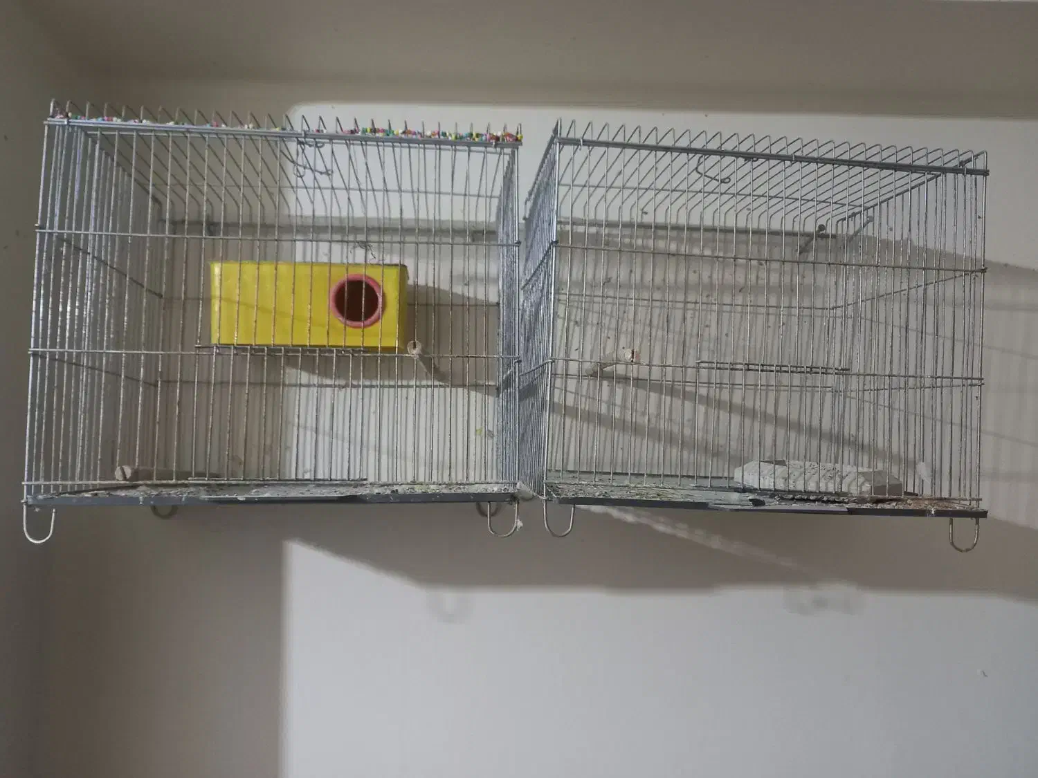 قفس پرنده|لوازم جانبی حیوانات|دوگنبدان, |دیوار