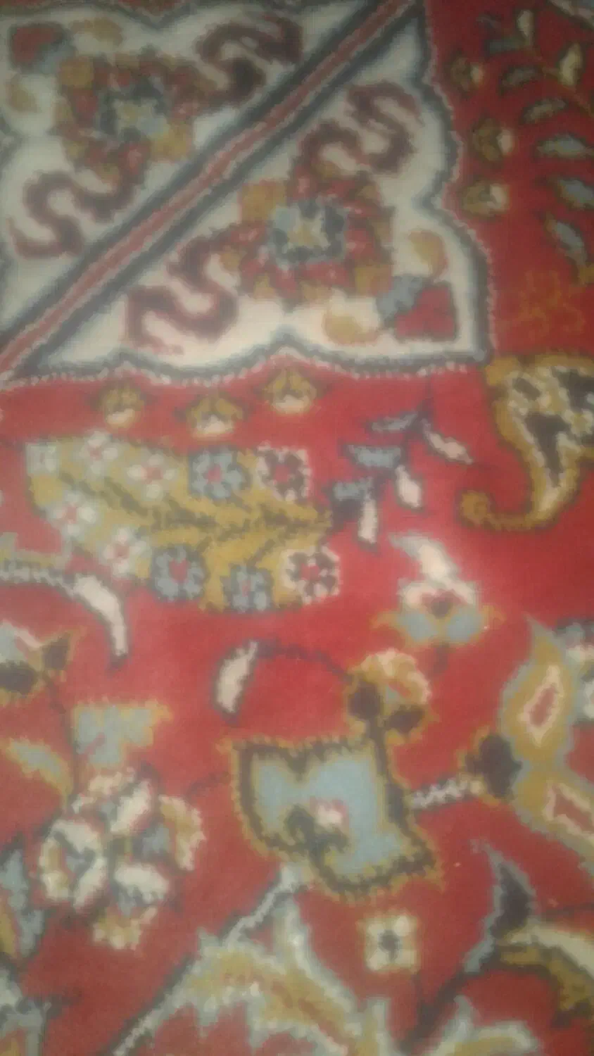 فرش|فرش|زاهدان, |دیوار