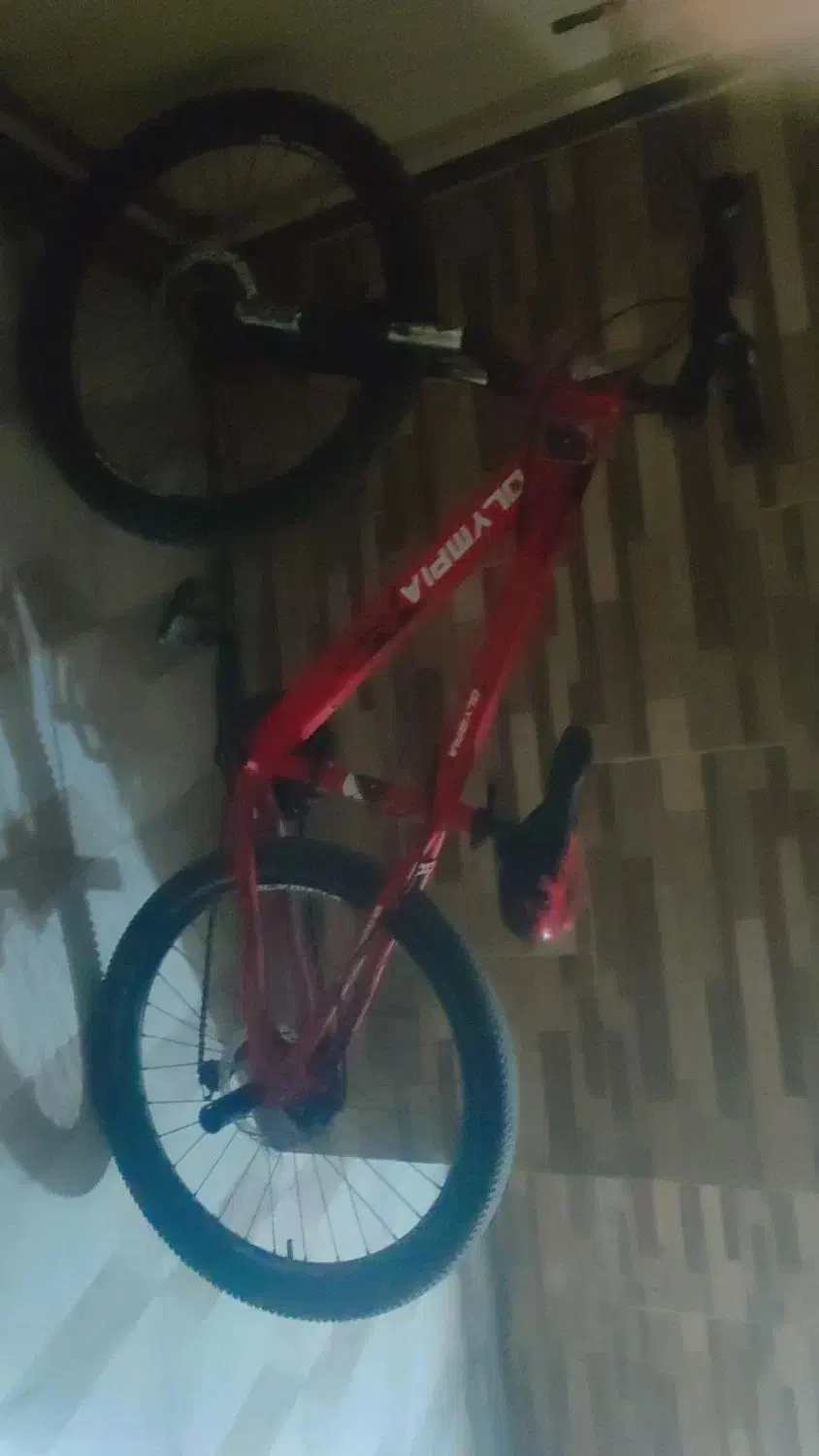 دوچرخه 24|دوچرخه، اسکیت، اسکوتر|بندرعباس, |دیوار