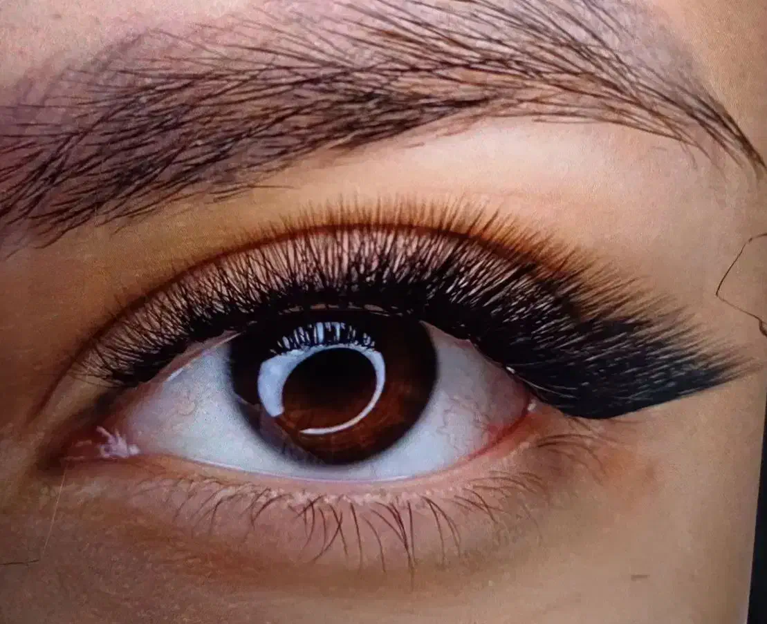 خدمات و آموزش اکستنشن مژه و لیفت ابرو و مژه|خدمات آرایشگری و زیبایی|دوگنبدان, |دیوار