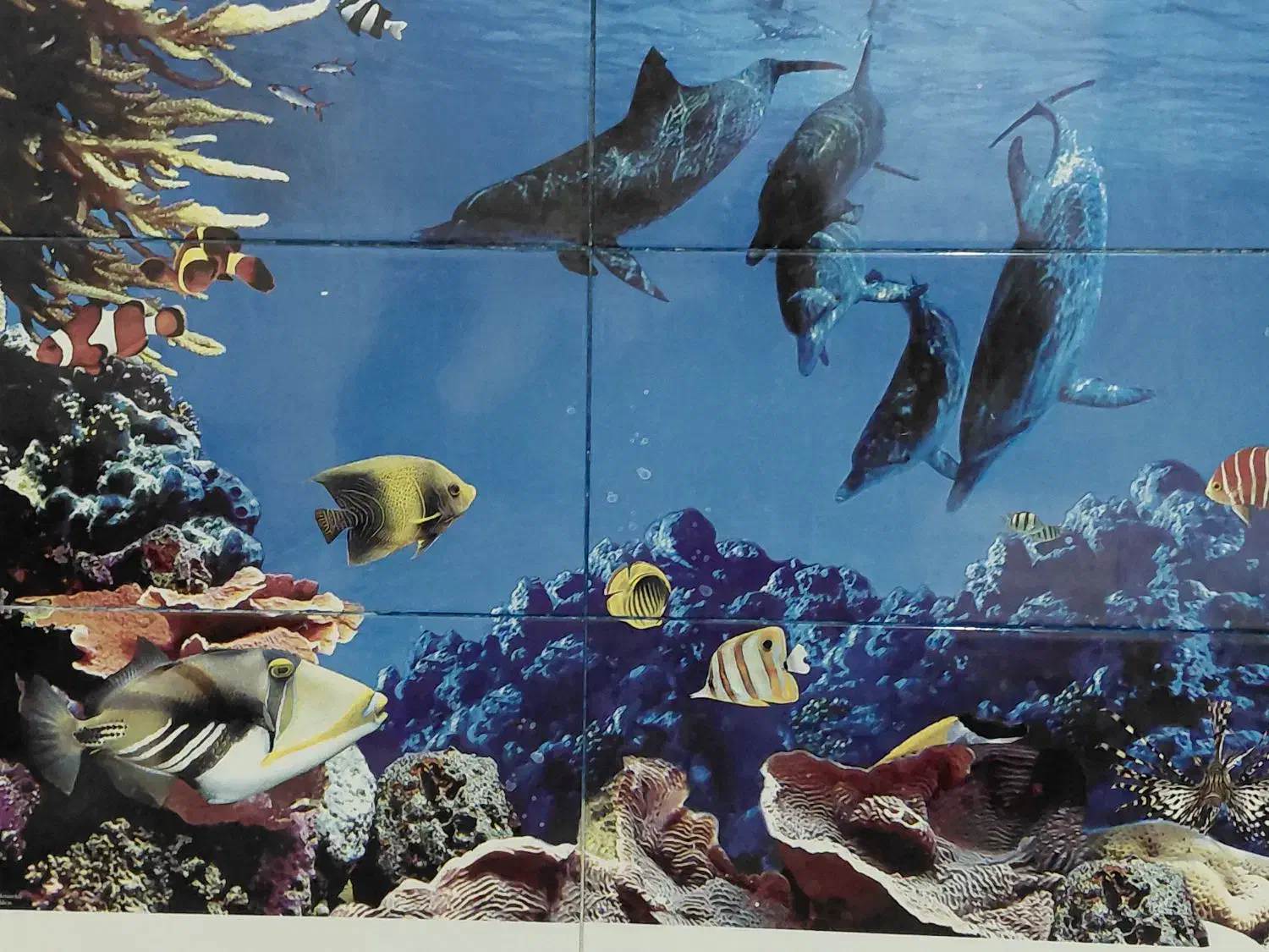 بنا و کارهای عمومی ساختمان|خدمات پیشه و مهارت|دوگنبدان, |دیوار