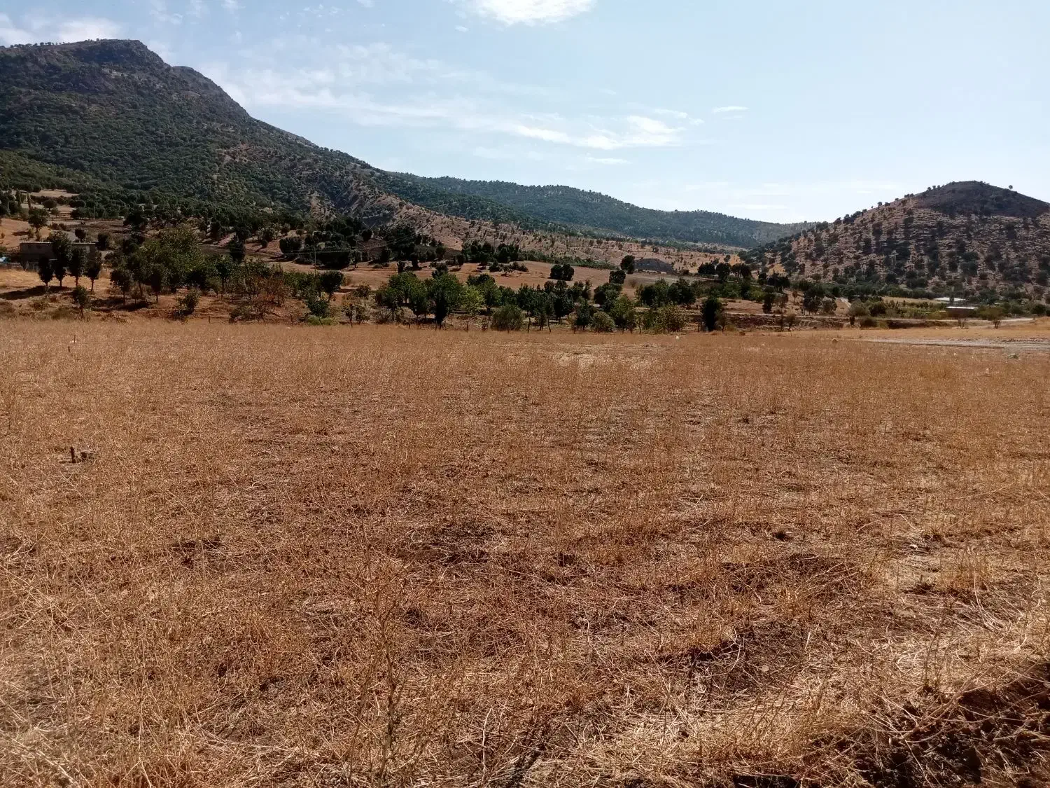 فروشی زمین خام|فروش زمین و ملک کلنگی|بانه, |دیوار