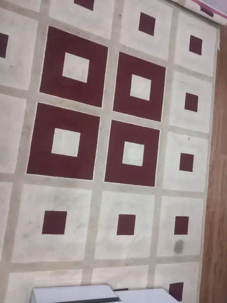 قالی 6 متری|فرش|بندرعباس, |دیوار