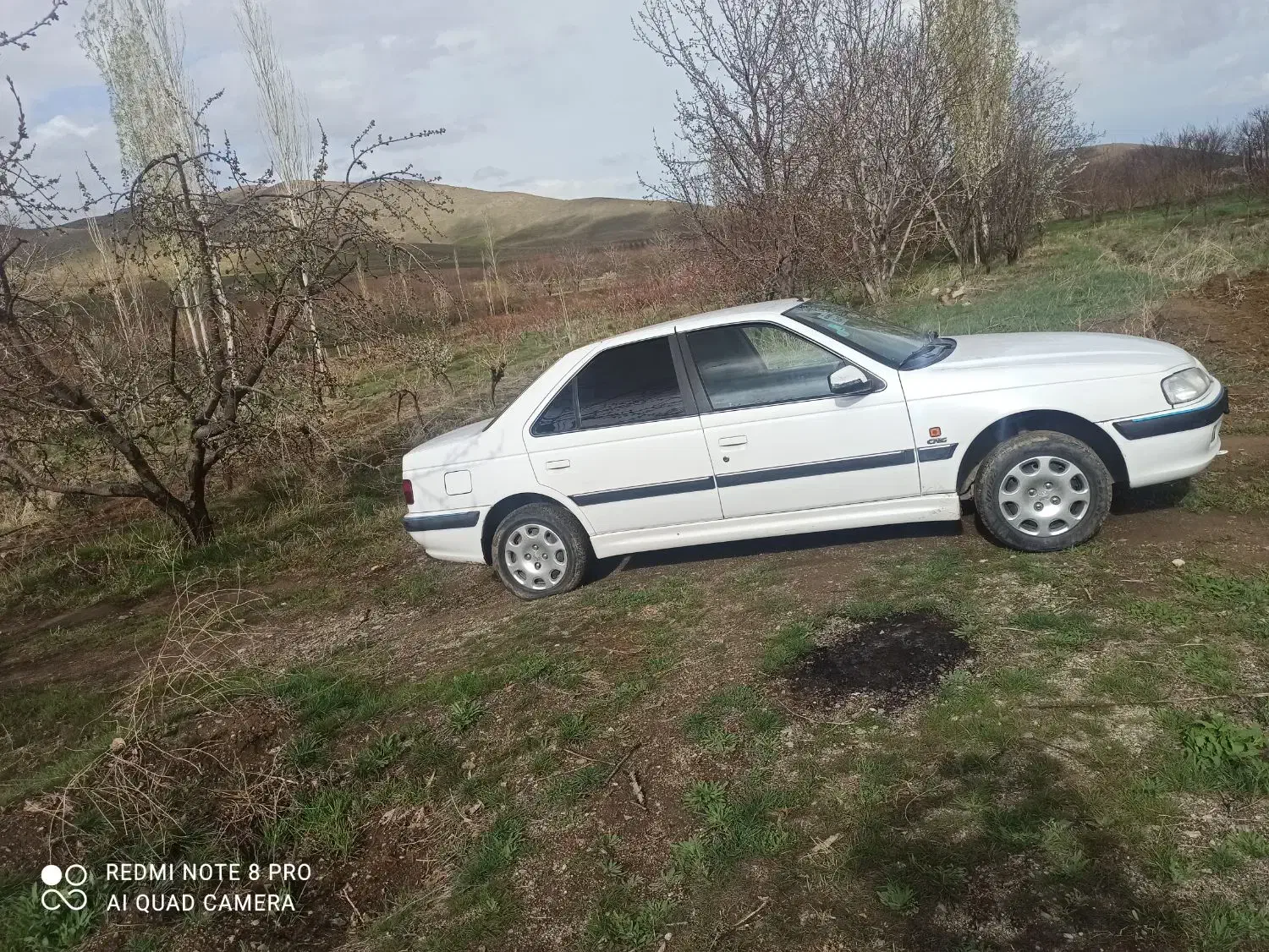 سواری دربست|خدمات حمل و نقل|انزل, |دیوار