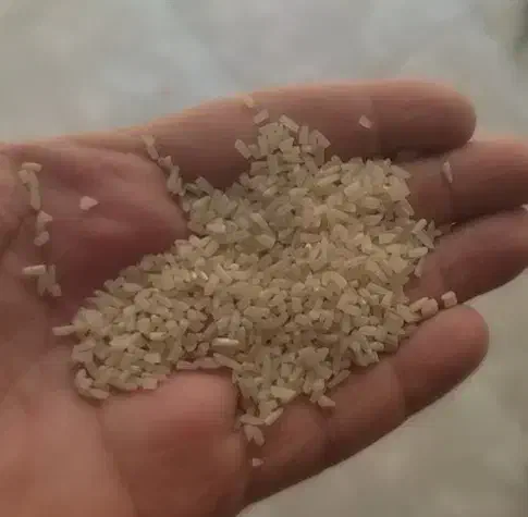 سرلاشه نیم دانه  طارم درجه یک اقتصادی|خوردنی و آشامیدنی|باقرشهر, |دیوار