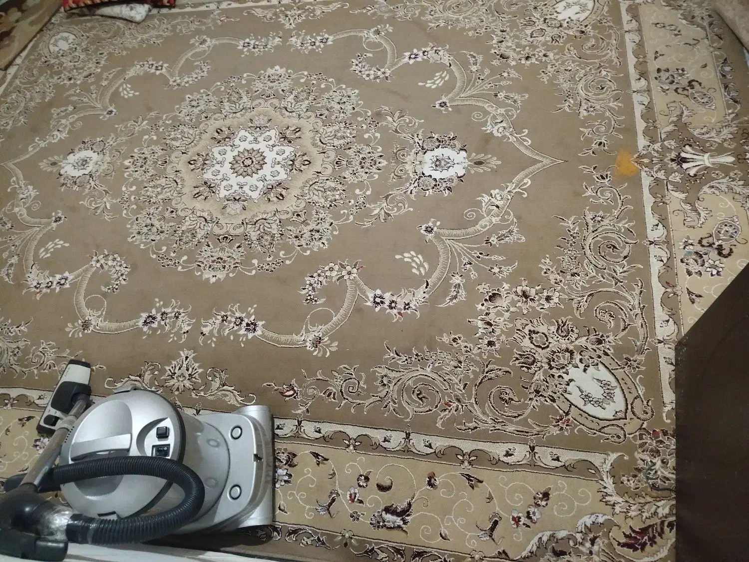 فروش فرش ماشینی تراکم بالا قیمت عالی|فرش|شاندیز, |دیوار