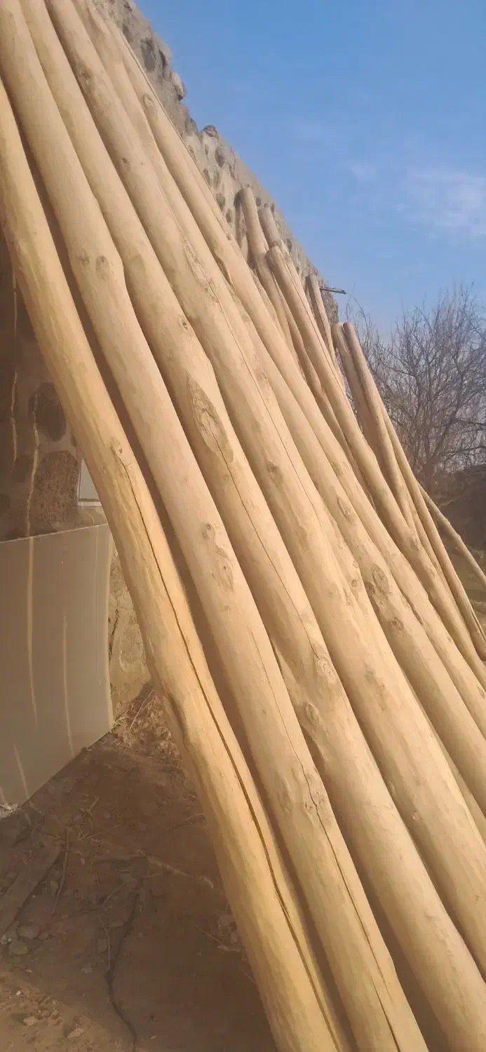 چوب سقفی|حراج|پلدشت, |دیوار