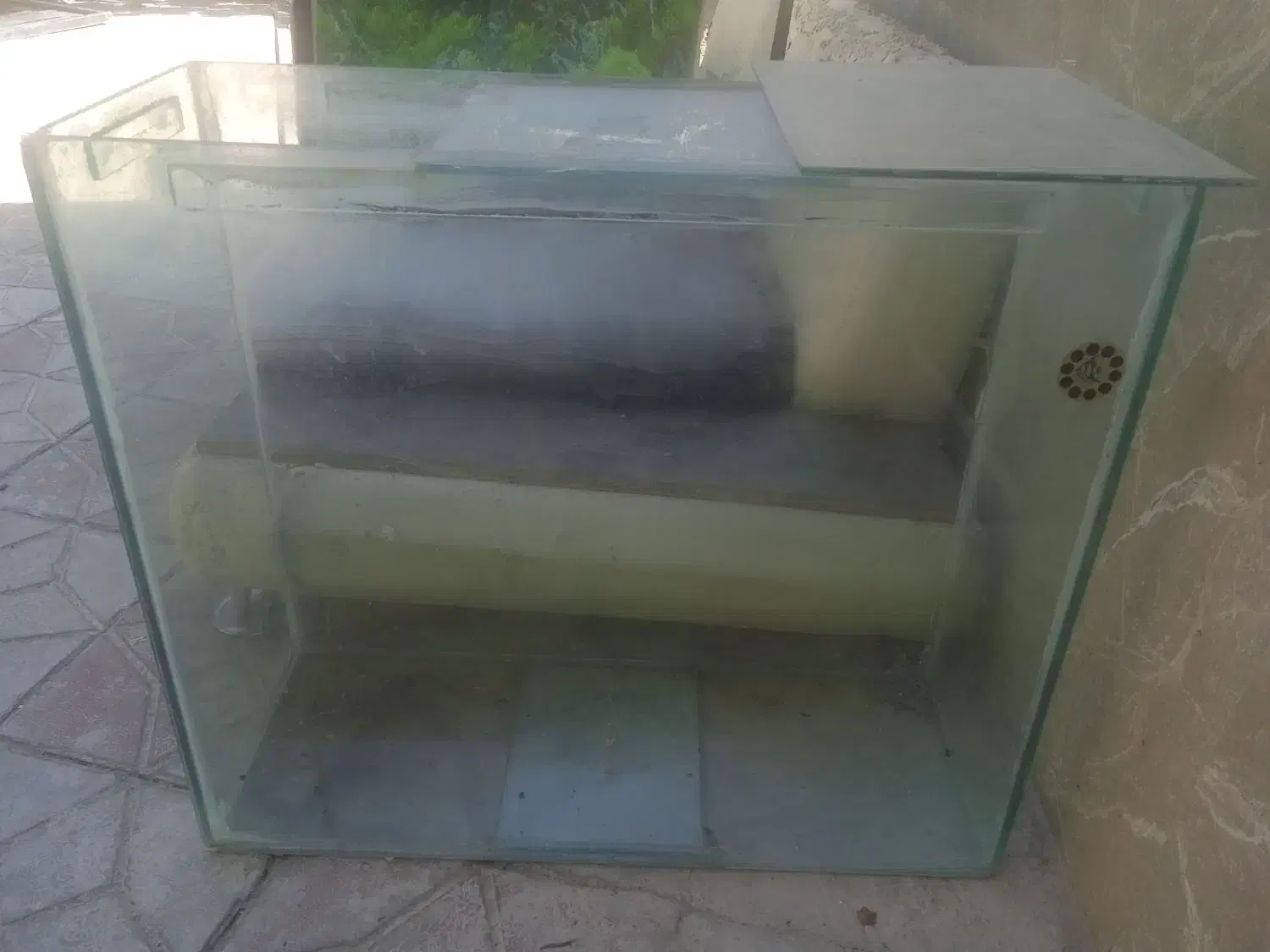 آکواریوم|ماهی|هشتگرد, فشند|دیوار