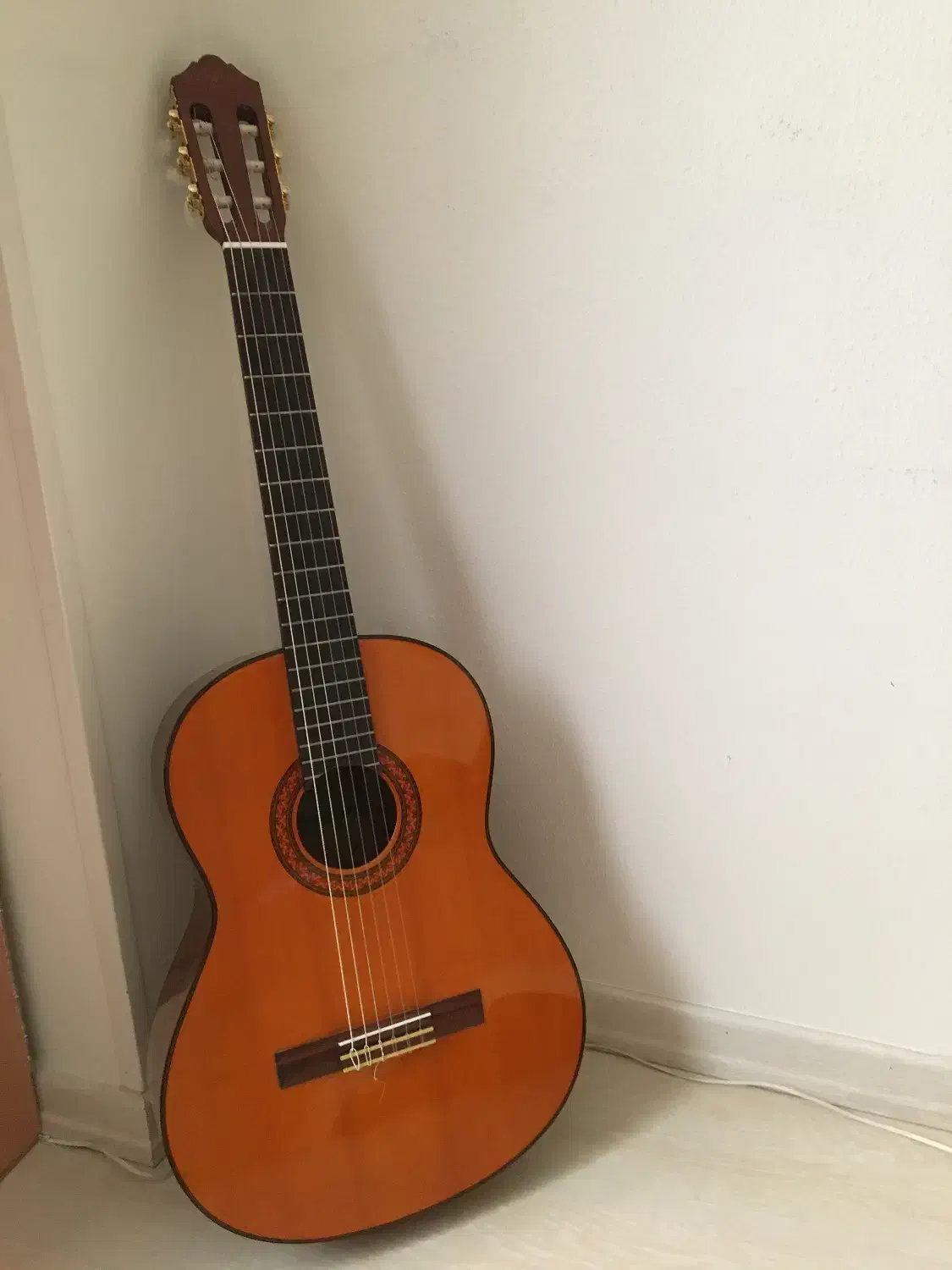 گیتار|گیتار، بیس، امپلیفایر|شیراز, رحمت‌آباد|دیوار